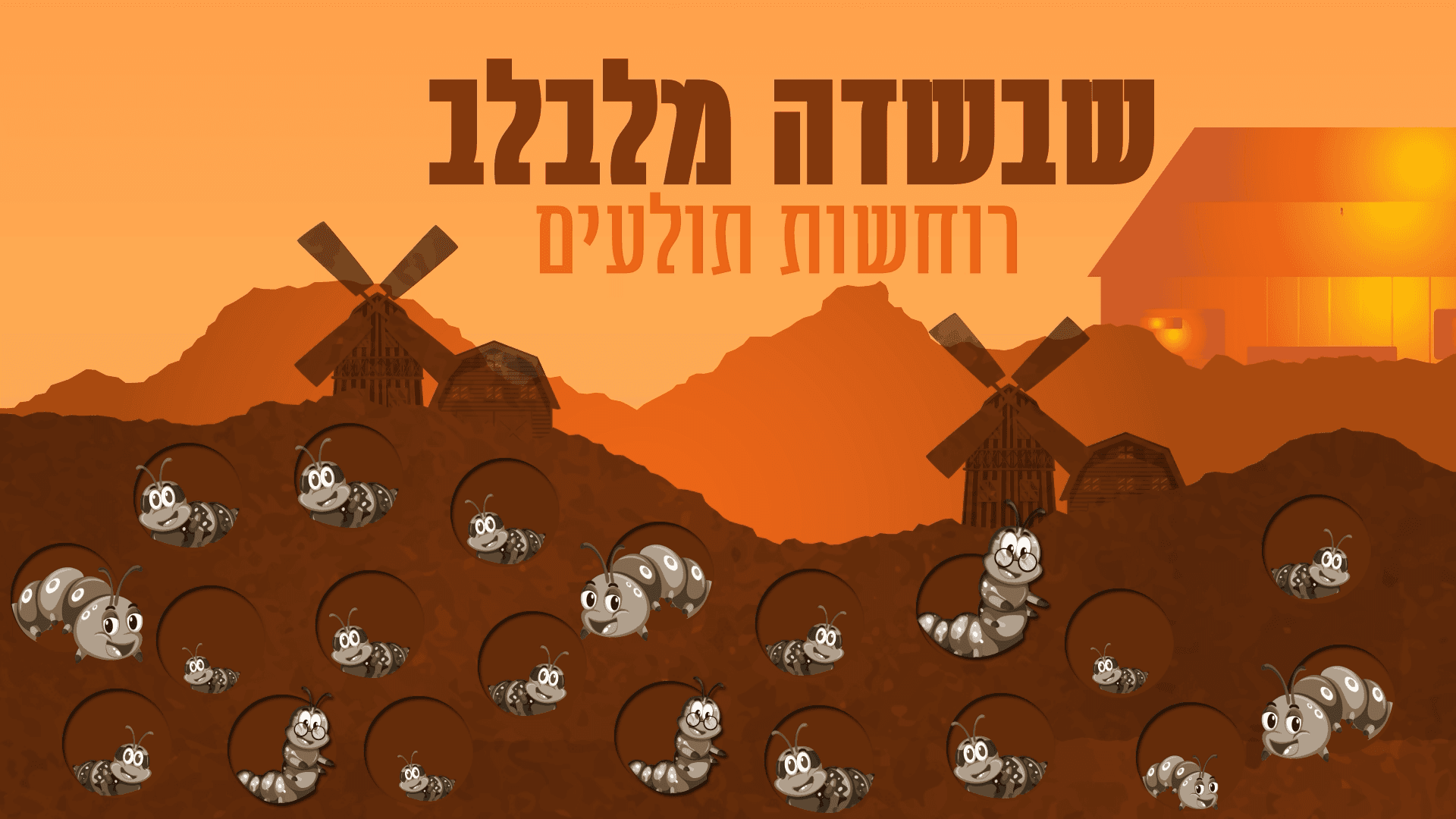 תוכנית 2