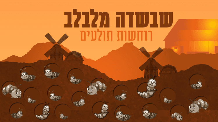 תוכנית 2