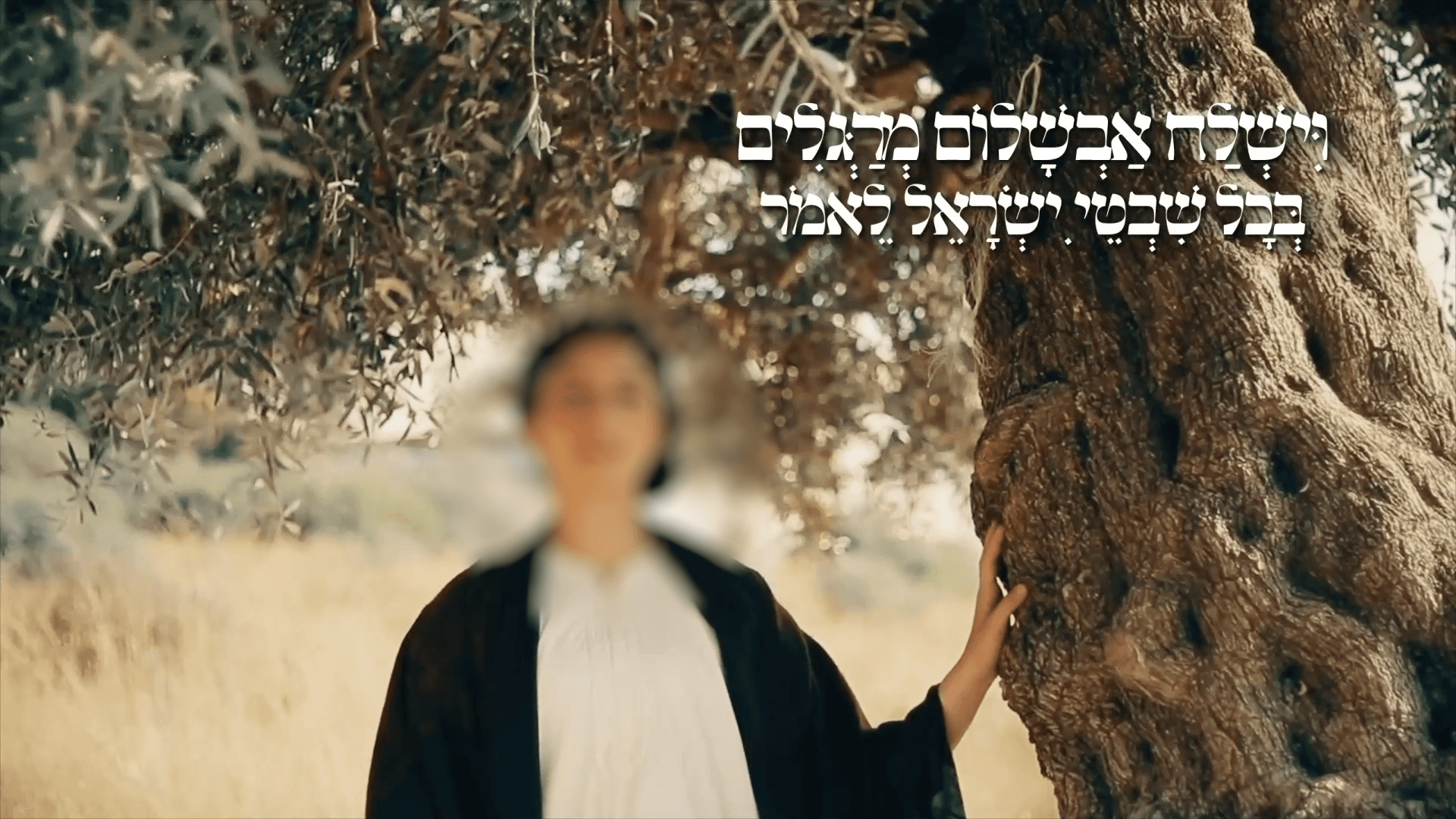 תוכנית 6