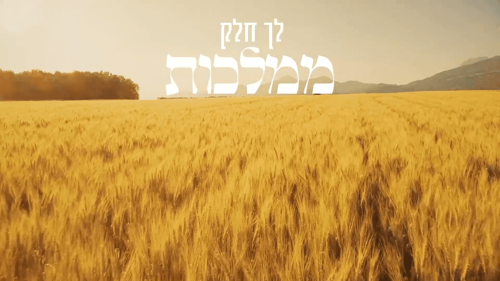 תוכנית 7