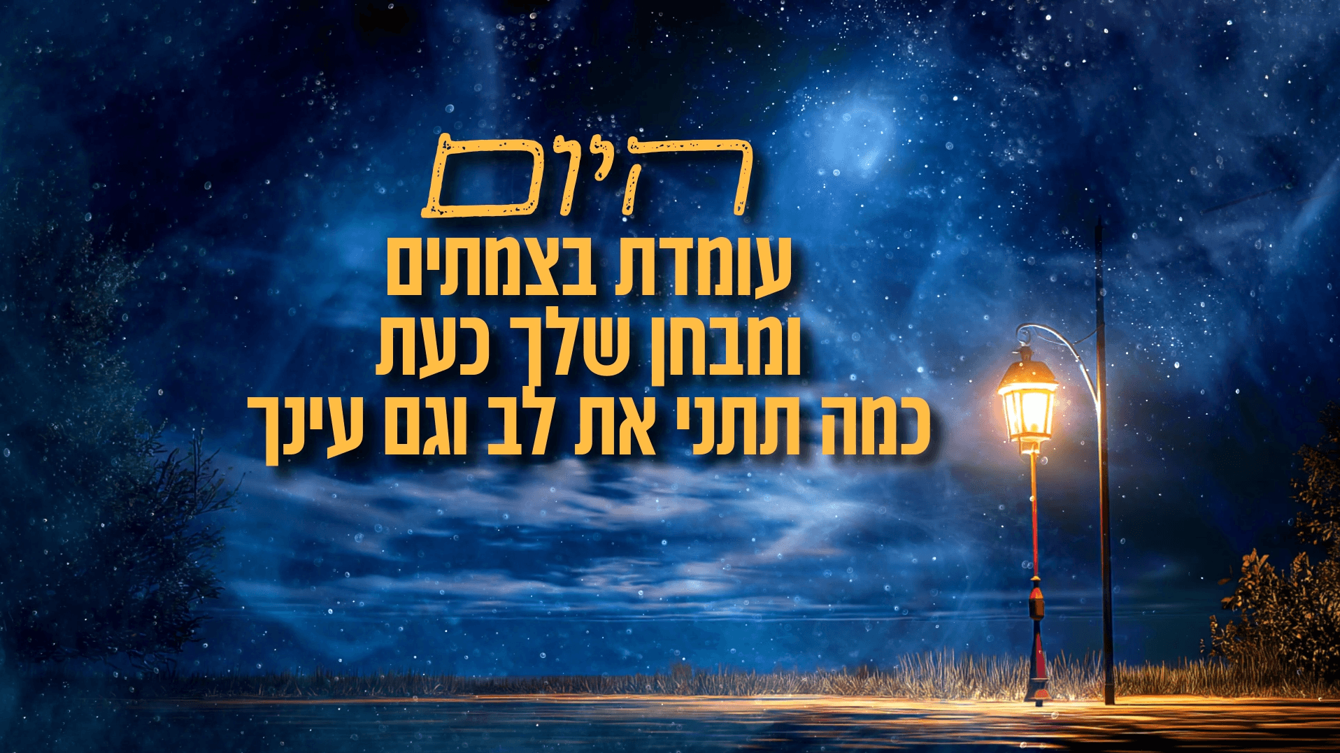 צילום מסך 2026-10-04 235337