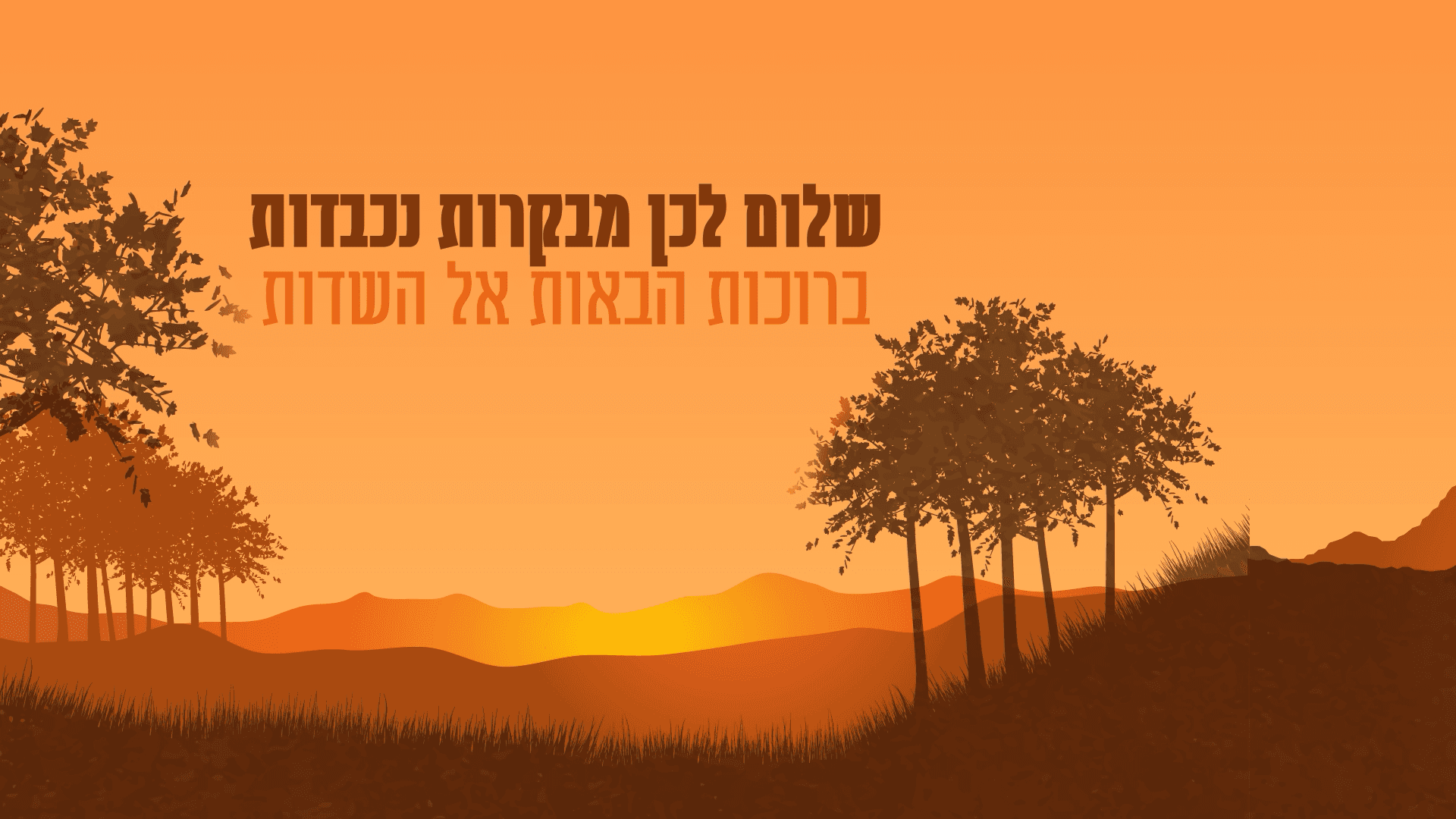 תוכנית 1 (4)